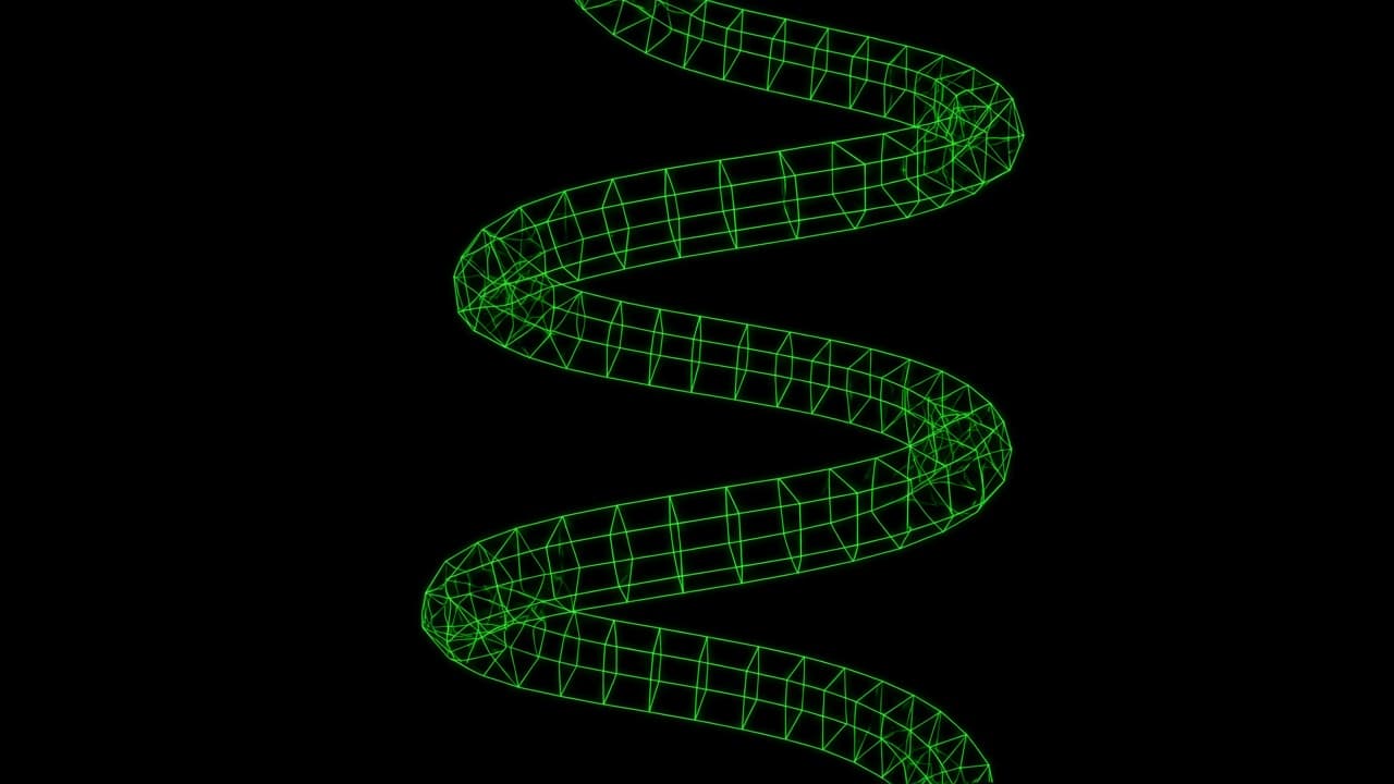 Helical neon wireframe hose on black.